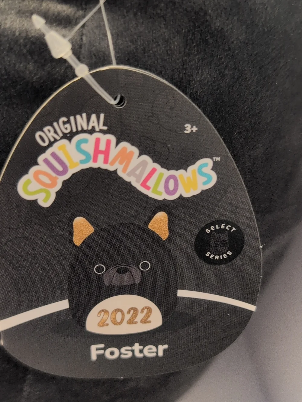 Squishmallows Foster The French Bull Dog NWT 12'